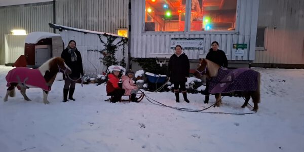 Winterspaß mit Shetty Luna